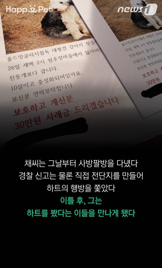 본문 이미지 - ⓒ News1 