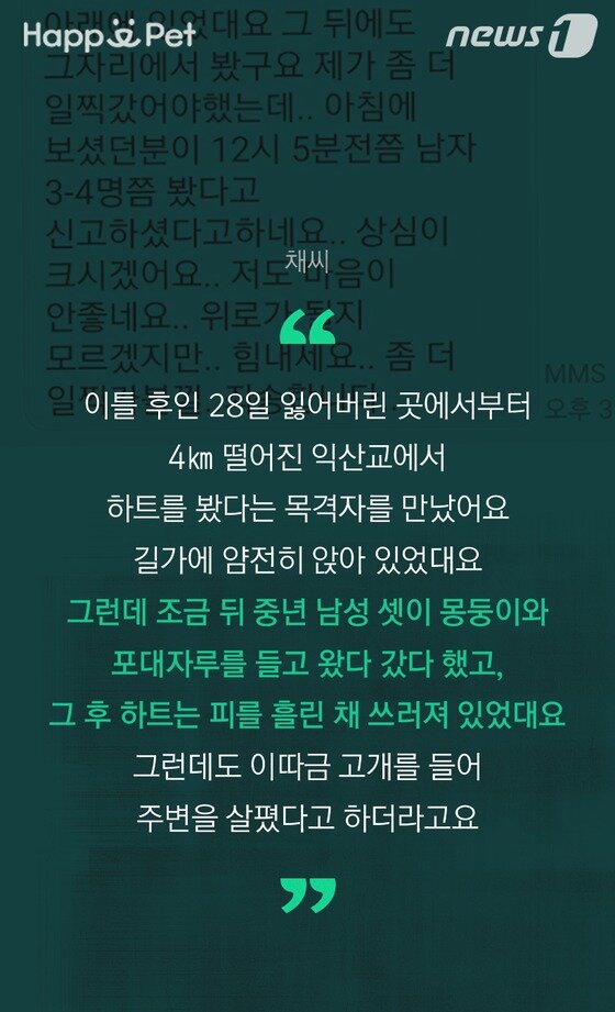 본문 이미지 - ⓒ News1 