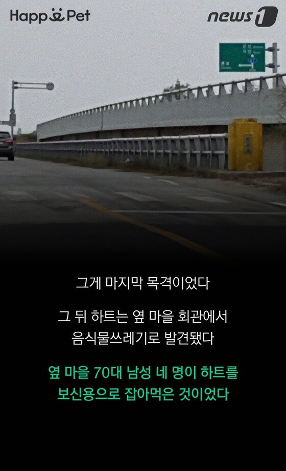 본문 이미지 - ⓒ News1 