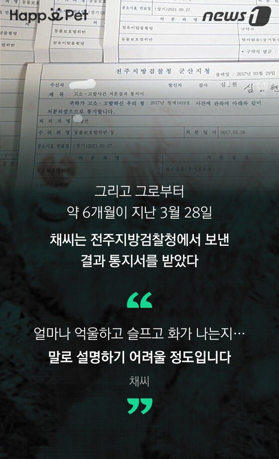 본문 이미지 - ⓒ News1 