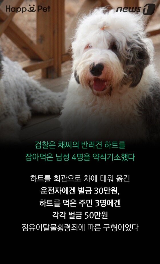 본문 이미지 - ⓒ News1