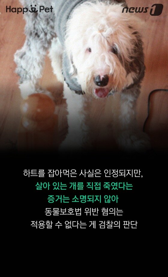 본문 이미지 - ⓒ News1 