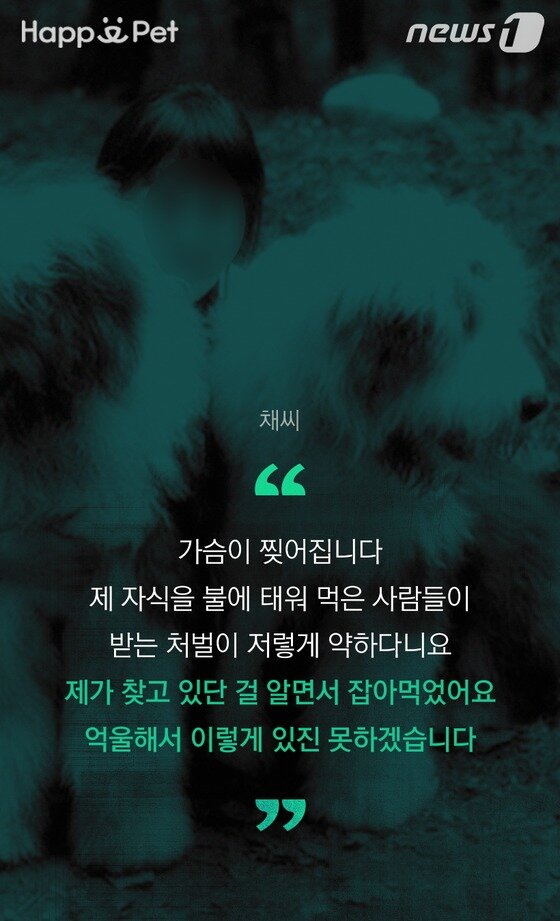 본문 이미지 - ⓒ News1 