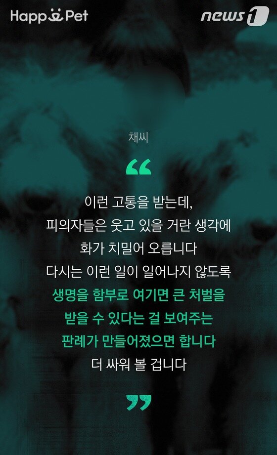 본문 이미지 - ⓒ News1 