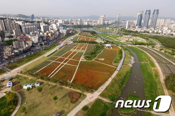 봄꽃 대축제가 펼쳐지는 태화강 대공원을 드론이 내려다 보고 있다. © News1 이상문 기자