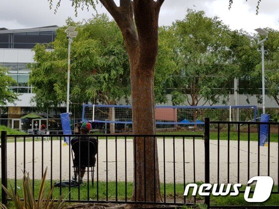 본문 이미지 - 야외에서 일을 하고 있는 구글 직원. 입사 한달 미만의 신입 직원들은 무지개색 모자를 의무적으로 착용해야한다. ⓒ News1