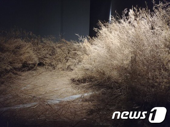 본문 이미지 - 금호미술관 '빈 페이지' 전에서 선보일 김주리 작가의 공간 설치작업. ⓒ News1