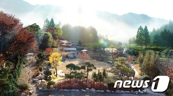 본문 이미지 - 편백숲힐링토피아 ⓒ News1