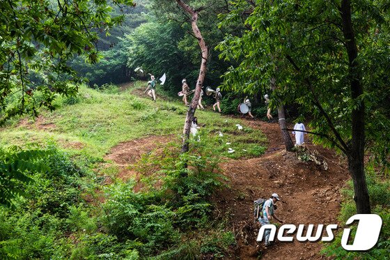 본문 이미지 - 시민의 숲(Citizens Forest) 한 장면, 2016 (국제갤러리 제공) ⓒ News1