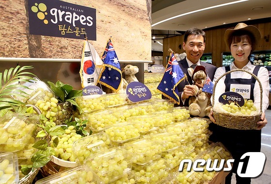 (서울=뉴스1) = 28일 오전 현대백화점 판교점에서 주한호주대사 제임스 최(JAMES CHOI)(왼쪽)'와 직원이 탐스 골드 포도를 소개하고 있다. '탐스 골드 포도'는 기존 수 …