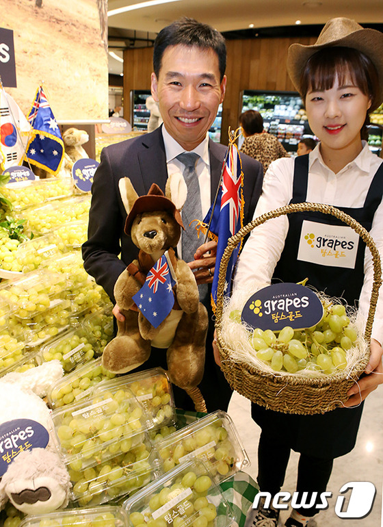 (서울=뉴스1) = 28일 오전 현대백화점 판교점에서 주한호주대사 제임스 최(JAMES CHOI)(왼쪽)'와 직원이 탐스 골드 포도를 소개하고 있다. '탐스 골드 포도'는 기존 수 …