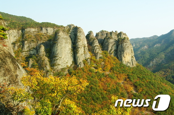 (청송=뉴스1) 피재윤 기자 = 경북 청송군이 프랑스 파리에서 열린 유네스코 집행이사회에서 세계지질공원 등재가 확정됐다고 3일 밝혔다. 제주도가 2010년 세계지질공원으로 인증받은 …