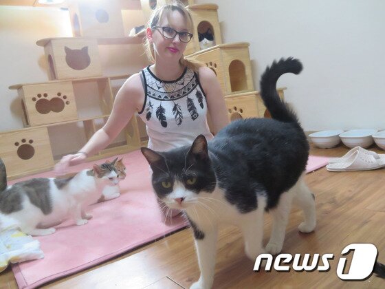 본문 이미지 - 프랑스 출신으로 숙명여대 어학당에서 한국어 공부중인 쥐스틴은 매주 사단법인 나비야사랑해 보호소를 찾아와 고양이들과 함께 지내며 청소 등 봉사활동을 하고 있다.ⓒ News1