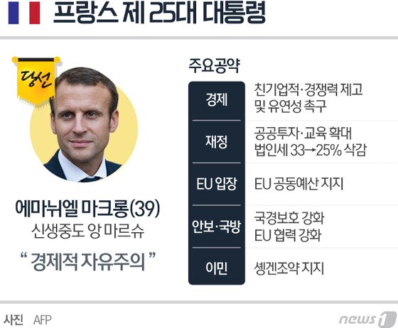 본문 이미지 - ⓒ News1 최진모 디자이너