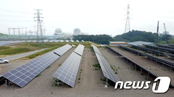 본문 이미지 - 1일 준공한 고리태양광발전소. ⓒ News1
