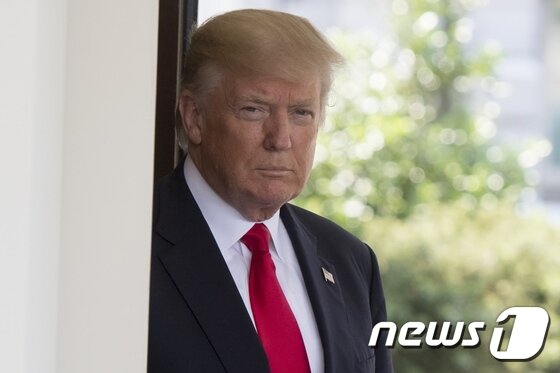 본문 이미지 - 도널드 트럼프 미국 대통령. ⓒ AFP=뉴스1