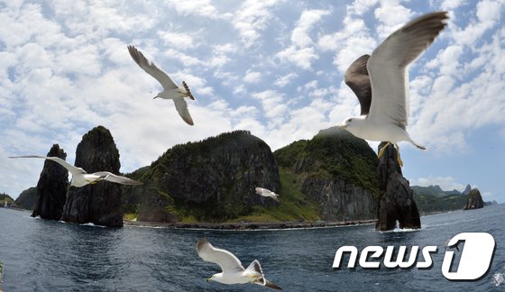 본문 이미지 - 경상북도 울릉도 앞바다에서 갈매기들이 힘차게 날갯짓을 하며 먹이활동을 하고 있다. 2017.6.16/뉴스1 ⓒ News1 김명섭 기자