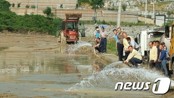 본문 이미지 - 19일 가평군 대곡리 최철화씨 농가에서 김성기 군수가 긴급 농업용수를 쏟아붓고 있다. ⓒ News1