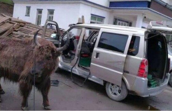 본문 이미지 - 화시도시보 갈무리