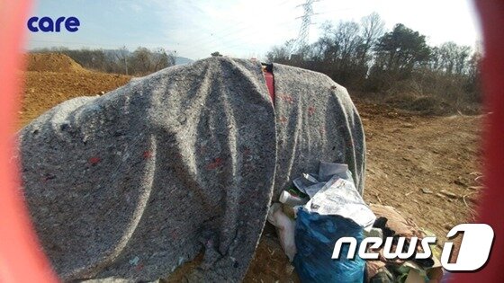 본문 이미지 - 개 13마리와 보호자가 함께 생활하던 경차. (사진 케어 제공) ⓒ News1