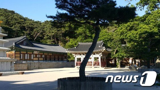 본문 이미지 - 수덕사 경내ⓒ News1