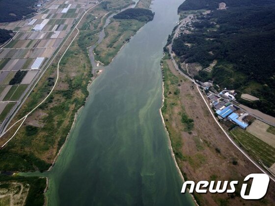 본문 이미지 - 4대강 6개보의 수문이 열린지 불과 닷새 만인 지난 6일 대구 달성군 도동나루터 인근 낙동강에 올들어 첫 녹조가 관측됐다. 환경단체는 "찔금 방류로는 녹조 문제를 해결할 수 없다＂며 보 수문의 전면 개방을 촉구했다. (대구환경운동연합 제공)2017.6.7/뉴스1 ⓒ News1 이종현 기자