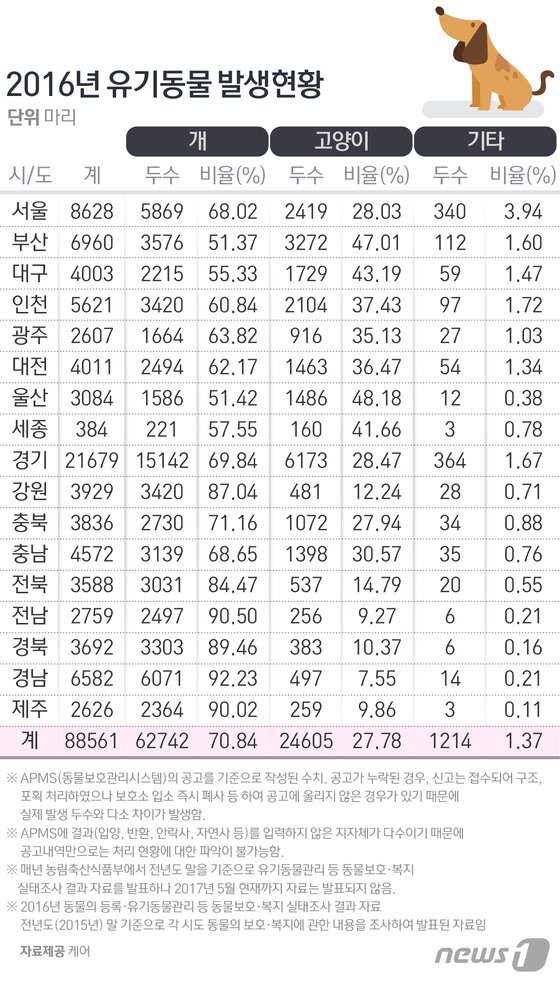 본문 이미지 - ⓒ News1 방은영 디자이너