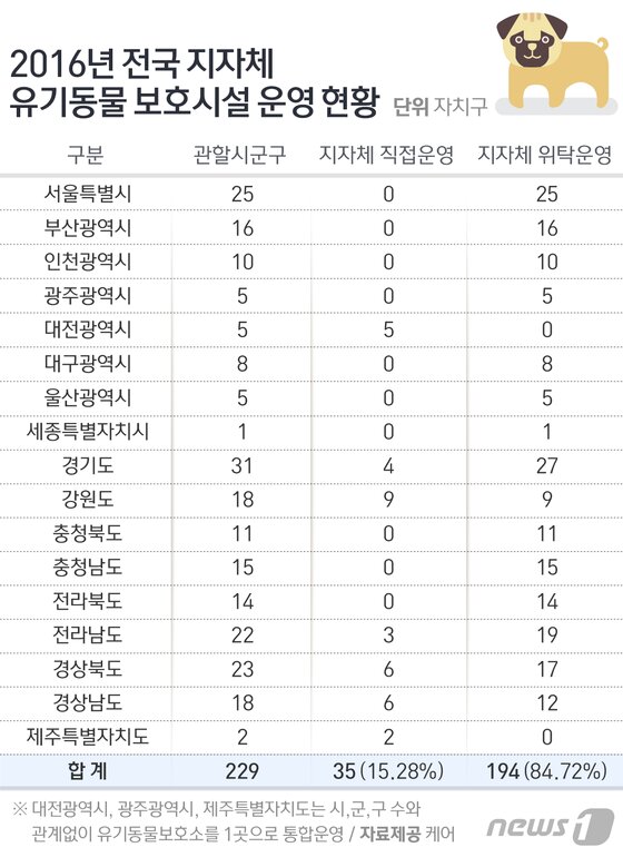 본문 이미지 - ⓒ News1 방은영 디자이너
