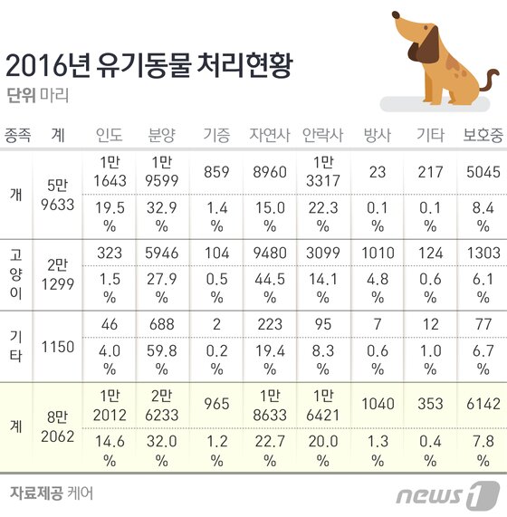 본문 이미지 - ⓒ News1 방은영 디자이너
