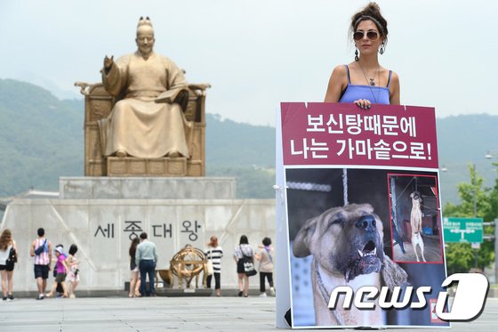 본문 이미지 - 영국에서 온 배우 루시아 바버가 11일 오전 서울 광화문광장에서 '개식용 반대' 피켓을 들고 1인 시위를 하고 있다. 2017.7.11/뉴스1 ⓒ News1 임세영 기자