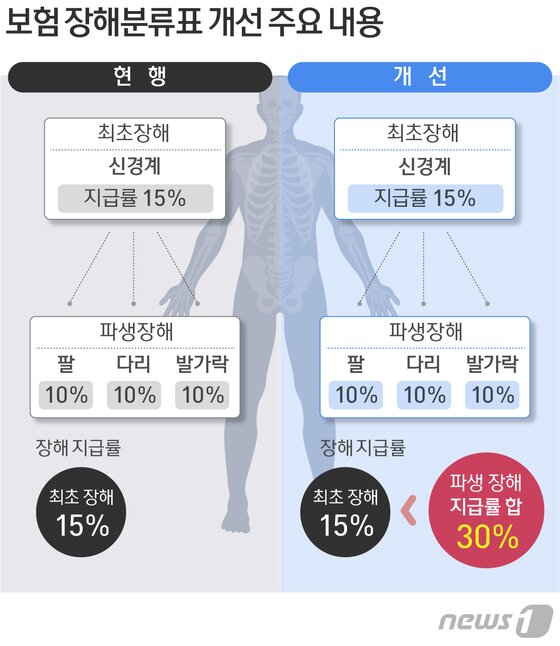 본문 이미지 - ⓒ News1 방은영 디자이너