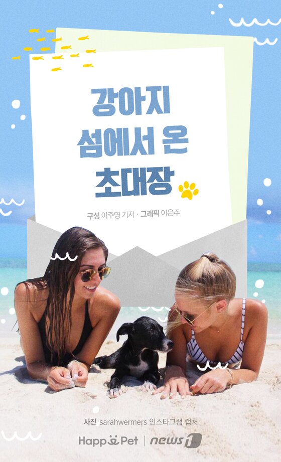 본문 이미지 -  