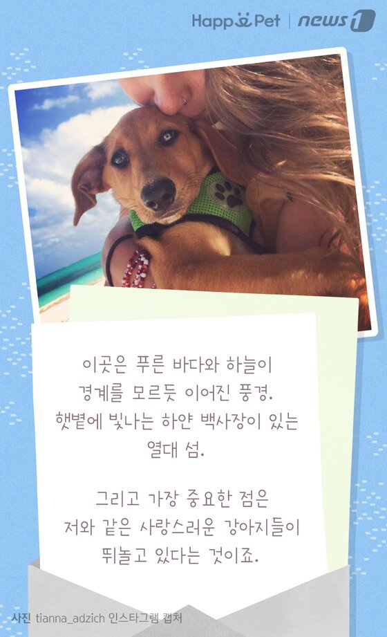 본문 이미지 -  