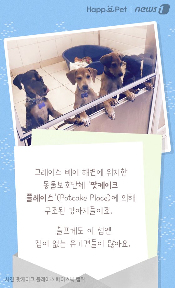 본문 이미지 -  
