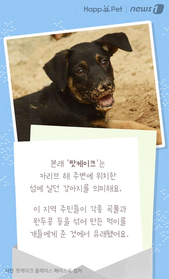 본문 이미지 -  