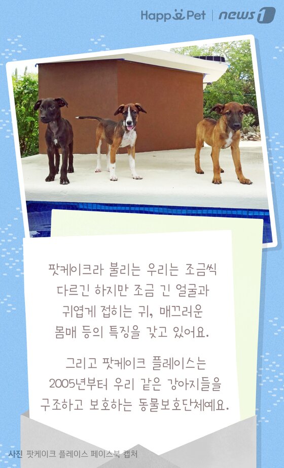 본문 이미지 -  