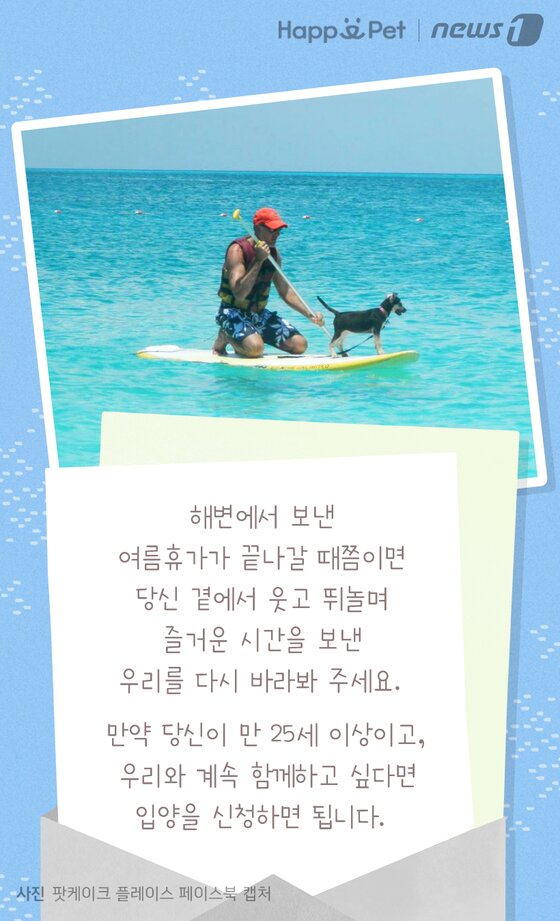 본문 이미지 -  