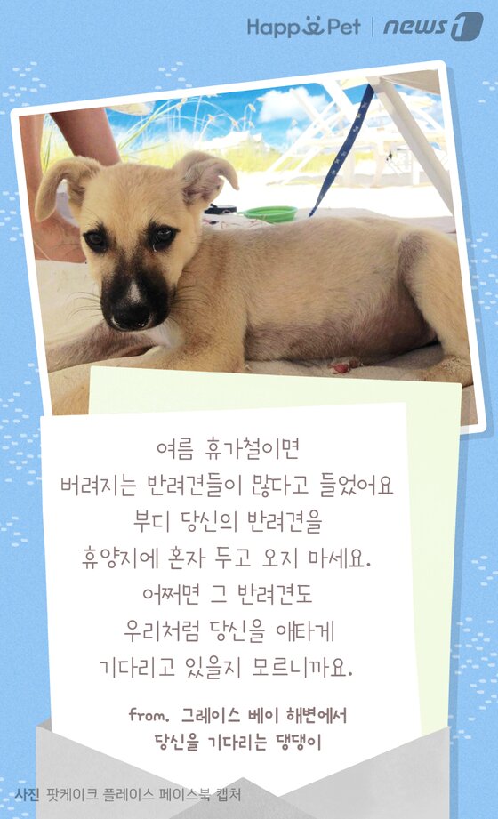 본문 이미지 -  