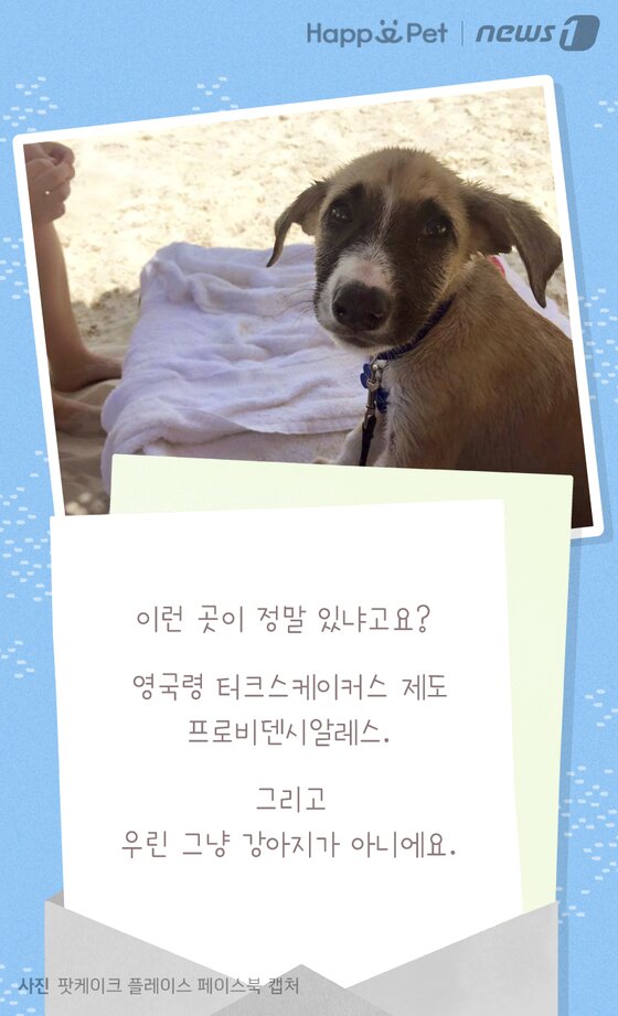 본문 이미지 -  