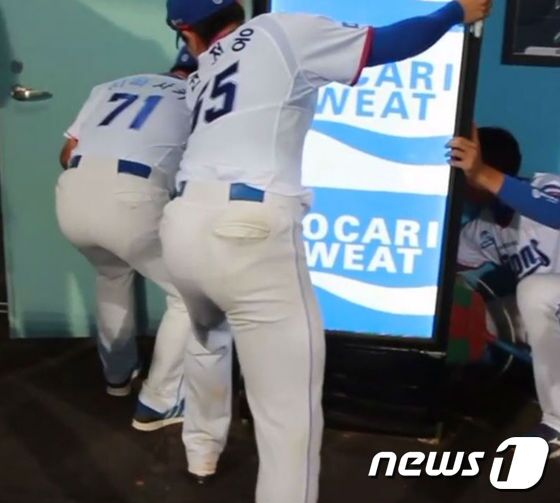 본문 이미지 - 아기 고양이를 구하기 위해 나선 권정웅과 시라사카 히사시 트레이닝 코치. (사진 삼성 라이온즈 공식 인스타그램 캡처) ⓒ News1