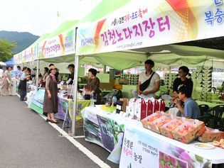 "샤인머스켓 깜짝 가격" 김천포도축제 오늘 개막…8일까지 열려