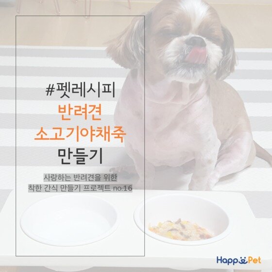 본문 이미지 - ⓒ News1