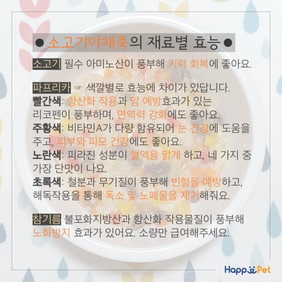 본문 이미지 - ⓒ News1