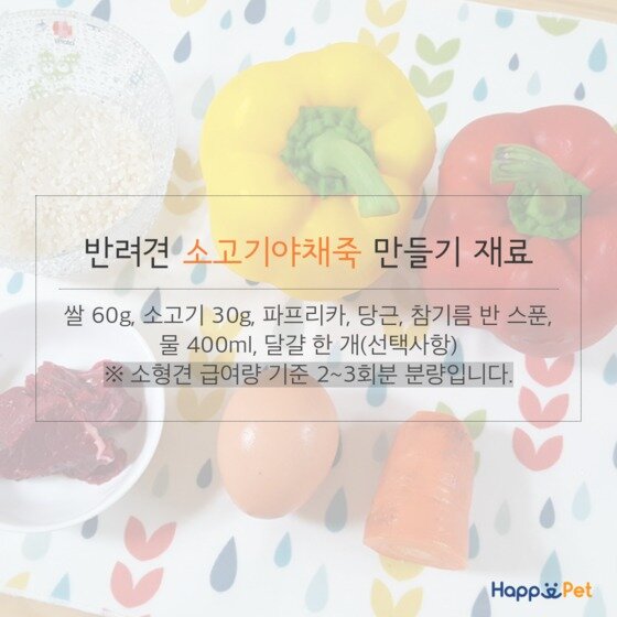 본문 이미지 - ⓒ News1