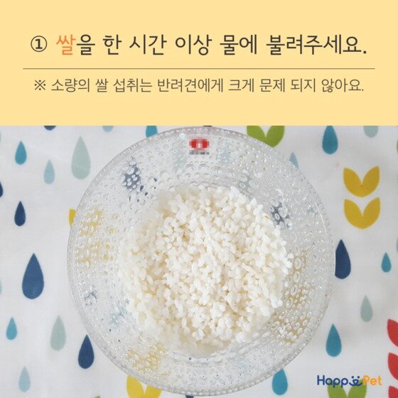 본문 이미지 - ⓒ News1