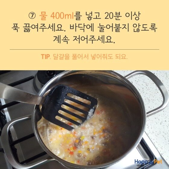 본문 이미지 - ⓒ News1