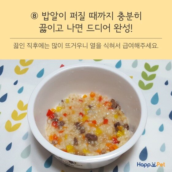 본문 이미지 - ⓒ News1