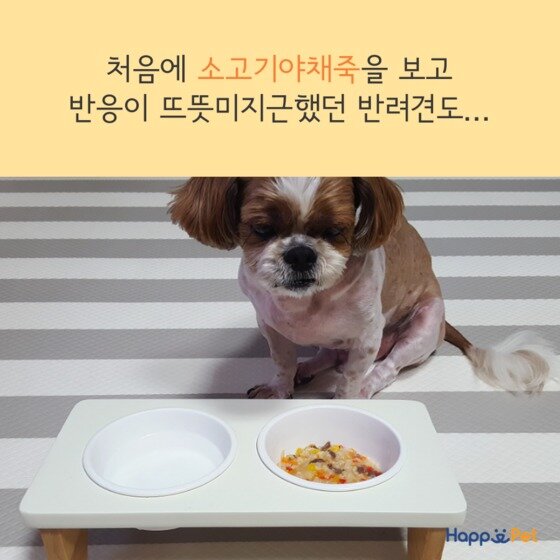 본문 이미지 - ⓒ News1