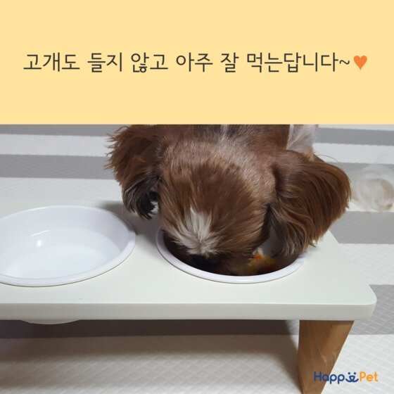 본문 이미지 - ⓒ News1