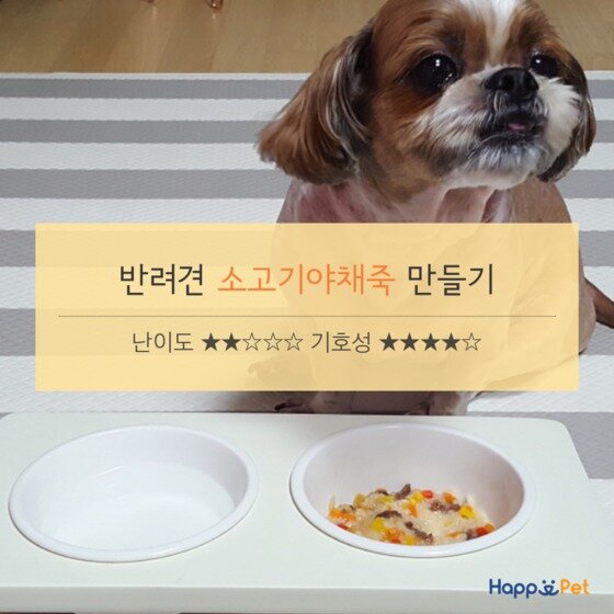 본문 이미지 - 제작tool=tyleⓒ News1